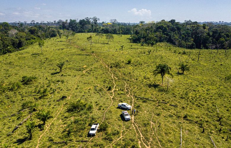 Deforestation on private property in the interior of the state of Acre. The location was determined by satellite images and later verified in an on-site inspection by the Acre Institute.