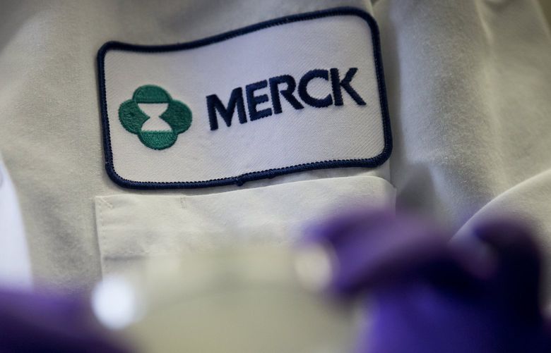  A Merck scientist  conducts research in 2013. Pharma giant Merck has been looking to acquire Bothell-based Seagen in a deal valued at $40 billion. (AP Photo / Matt Rourke, File) 