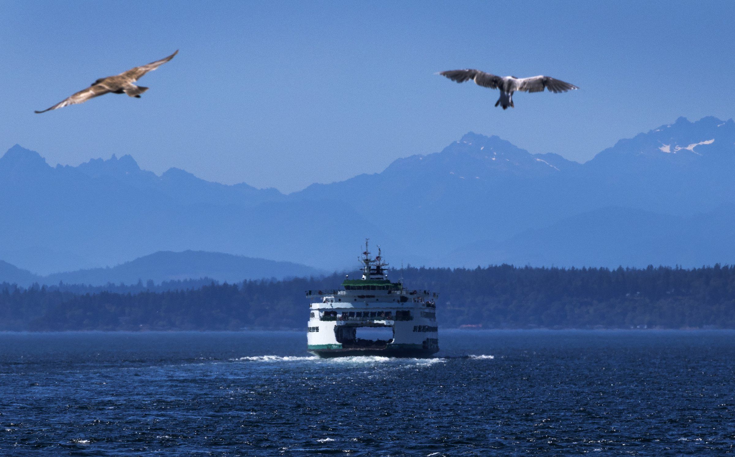 WA ferry delays hit highest mark in past decade The Seattle Times