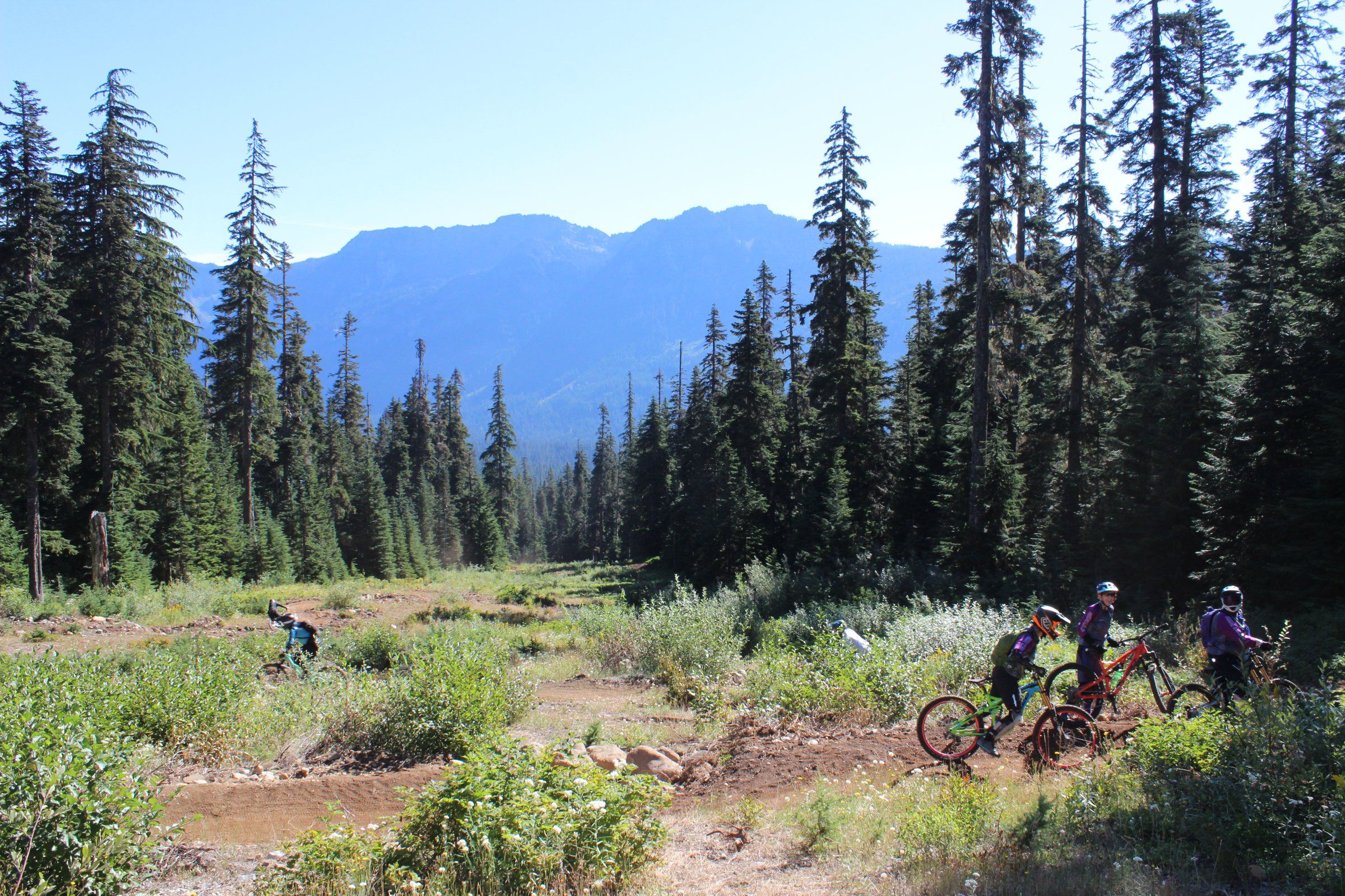 Stevens pass mountain online bike park