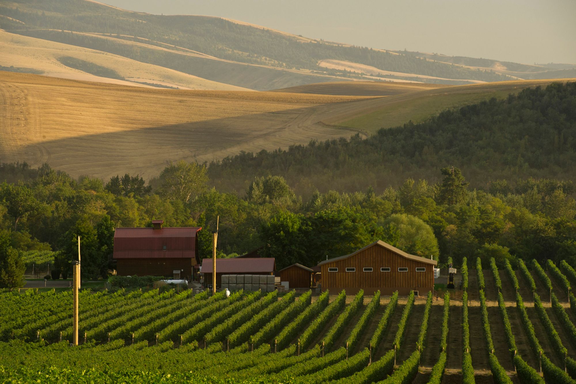 Wine touring: A road trip to Walla Walla | The Seattle Times