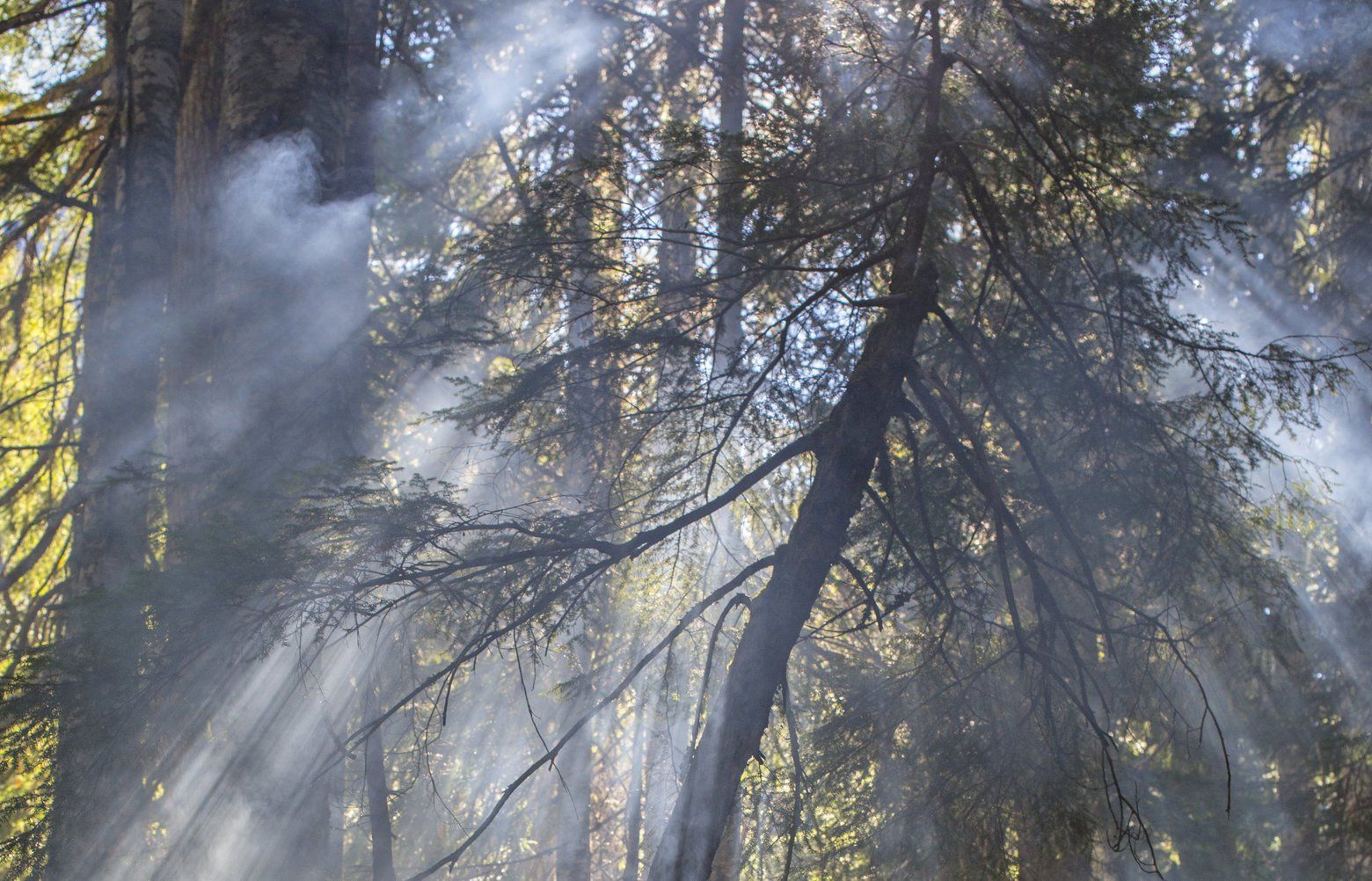 Fires Close Trails Camping Areas In North Cascades National Park The   Tzr 083817 