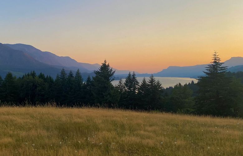 Tenzen Cabins & Springs sits on 100 acres of land. The cabins are nestled on the edge of a meadow bluff overlooking native fir, hemlock and oak trees, the Silver Star Scenic Area, Wind Mountain and the Columbia River.