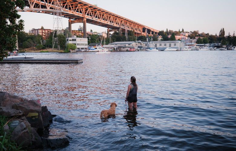 Sam, left, and Nancy Stone, right, watch as the sunset lights up the Ship Canal Bridge in Seattle on July 31, 2022. 221145