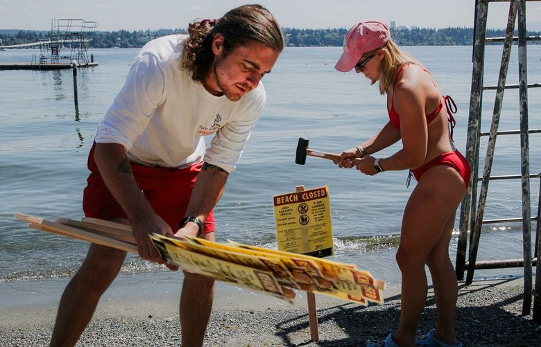 Beach manager John Evans, 31, left, and lifeguard Adair Tilghman, 19, set up warning signs at Madison Park Beach, one of four Seattle-area beaches closed due to high bacteria levels, just after noon on August 11, 2022. 221257