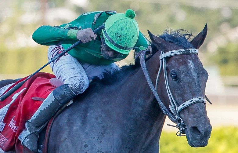 Longacres Mile at Emerald Downs – 081422
Slew’s Tiz Whiz with jockey Jose Zunino, right, passes Papa’s Golden Boy with jockey Kevin Radke as they come home during the Longacres Mile at Emerald Downs, Sunday, Aug. 14, 2022, in Auburn, Wash. Slew’s Tiz Whiz was first in a time of 1:34.46 and Papa’s Golden Boy second. 221251