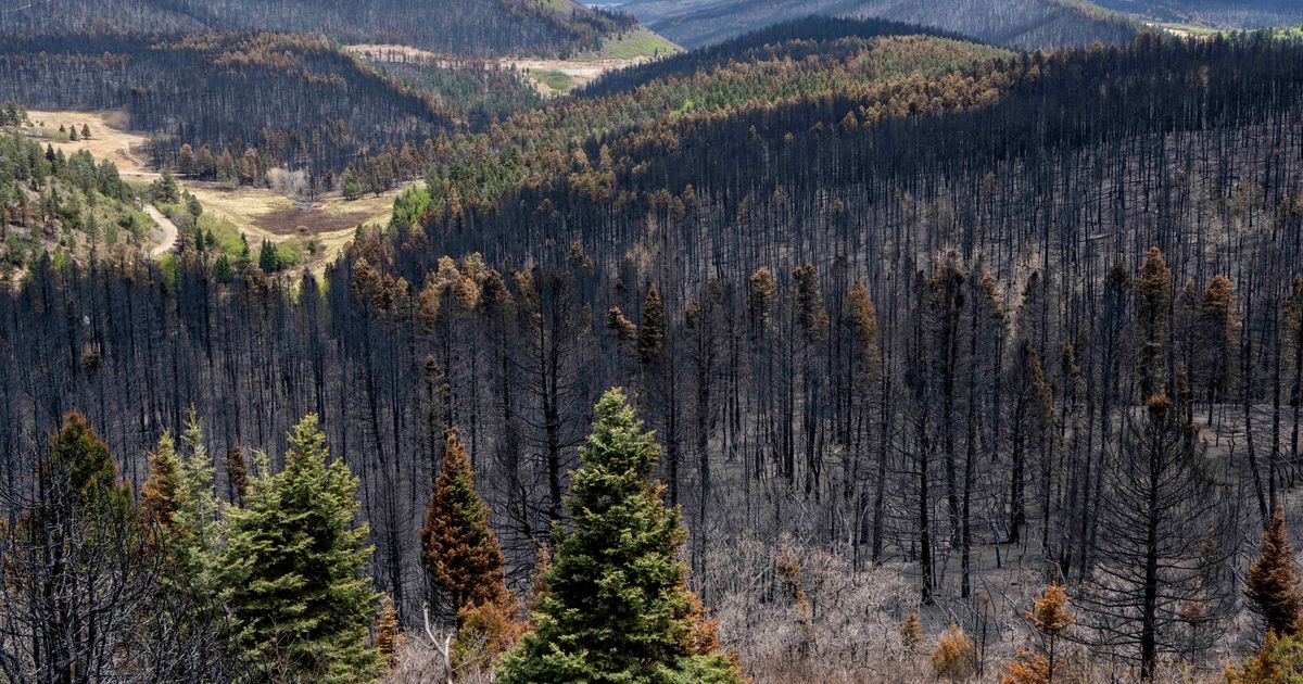 Recordsetting wildfire in New Mexico declared contained The Seattle