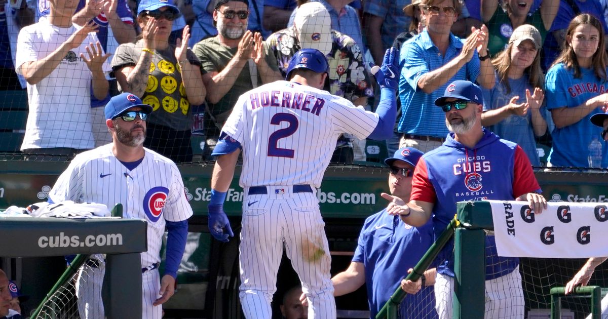 Hoerner, Cubs top powerhitting rookie Meneses, Nationals The Seattle