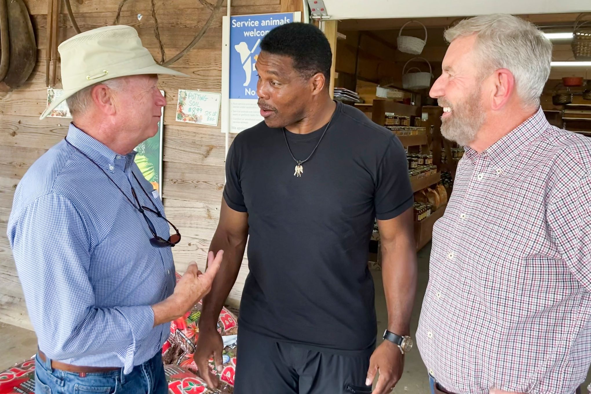 Will Herschel Walker's Football Fame Help Him Win Georgia Senate Runoff? -  Bloomberg