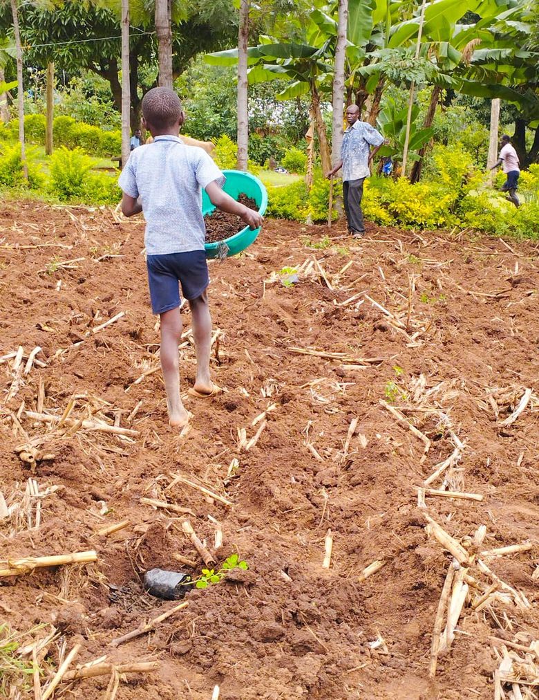 The child of a Kenyan farmer helps with planting trees that restore health to the soil — depleted, according to some, by a chemical-heavy approach pushed by the Bill & Melinda Gates Foundation-funded Alliance for a Green Revolution in Africa.  (Courtesy of Celestine Otieno)