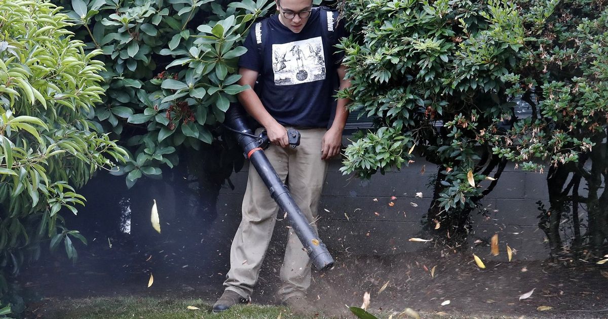 Seattle City Council approves plan to ban gaspowered leaf blowers