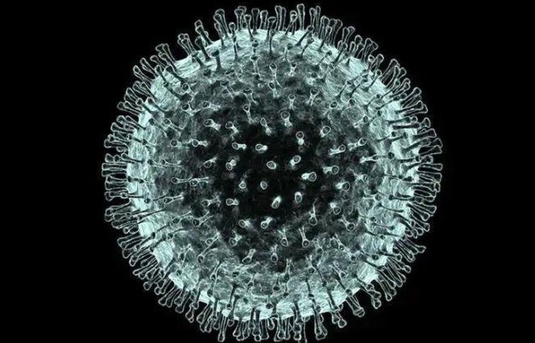 An electron microscope image based illustration of the 2019 Novel Coronavirus (2019-nCoV) responsible for the current outbreak an epidemic in Wuhan, China. Image provided by Dr. Daniel Haight. [ ALFRED PASIEKA-SCIENCE PHOTO LIBRARY ] 1625009 1625009