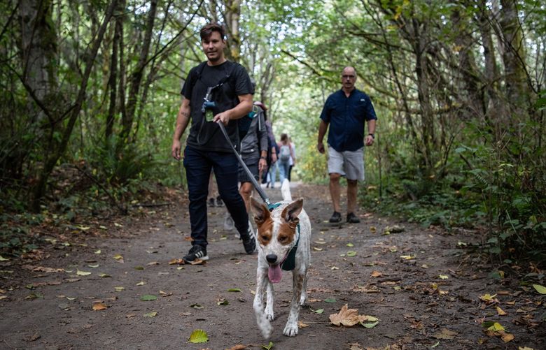 Brian Kalinowski, left, walks his 8-month-old dog, Duncan, at Discovery Park on Sunday, Sept. 4, 2022. Brian’s mother and father, right, are visiting Brian from their hometown of Cleveland, Ohio for the first time since he moved to Seattle in January 2020.
