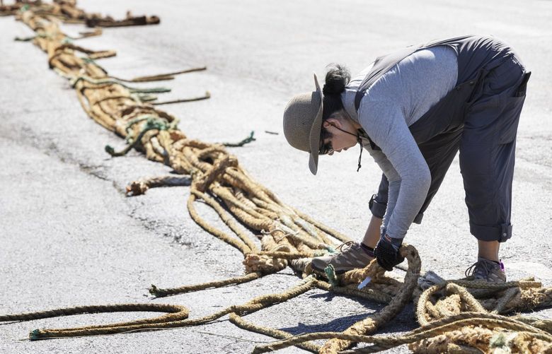 Agnes Cabullos, a volunteer from Arthur J. Gallagher Insurance, cuts trawling netting so it can be rolled into piles and then lifted into huge bags and then recycled at Terminal 91 in Seattle Tuesday, September 6, 2022. The insurance company is the insurance broker for American Seafoods.
American Seafoods partner with a local, woman-owned start up, Net Your Problem, and many volunteers at Terminal 91 Tuesday for the first time to recycle midwater trawling nets. All of the recovered materials are kept out of landfills and are given new life. A former North Pacific fisheries observer and current UW research scientist, Nicole Baker, launched Net Your Problem to divert plastic waste and nets from the fishing industry out of ocean and landfills. The nets are about four to five years old and can no longer be used to catch pollock. Old nets are often just stored and sometimes sent to Europe to be recycled. This is the first year American Seafoods is doing the recycling work themselves. They recovered 19,000 lbs. of plastics, all of which will go on to additional products/uses. A rough breakdown of the plastics they recovered is polypropylene (60%), nylon (19%), high density polyethylene (HDPE, 8%), mixed materials (13%). The material will be given to someone who will turn all of the former nets into different products.
Tim Fitzgerald, chief sustainability officer and public affairs with American Seafoods, said that the company could either pay to store the trawling nets, throw them away or recycle them. They chose to recycle.
221513