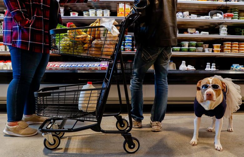 Ballard Food Bank – Opening day – 101821

Angel the dog, decked out in sunglasses and a tutu, watches over her master’s groceries as Ballard Food Bank helper Sarah Huttula, left, assists John Sawyer with his shopping Monday, Oct. 18, 2021, in Seattle.  218556