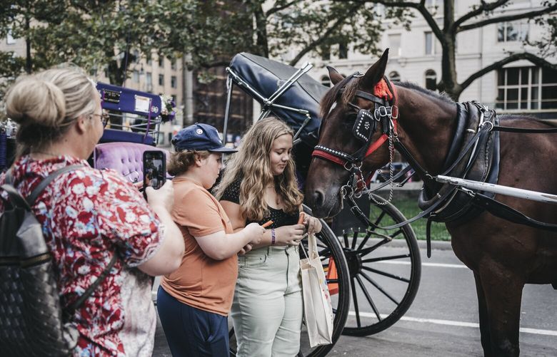 A carriage horse picks up passengers in Midtown Manhattan on Sept. 14, 2022. Detractors say the carriage ride trade is inherently exploitative and abusive. Hansen, a spokeswoman for the industry, says the notion that horses donâ€™t belong among cars and buildings is misguided. â€œPeople have forgotten what horses are like, what they are capable of,â€ she said. (Lucia Vazquez/The New York Times)



 XNYT4 XNYT4