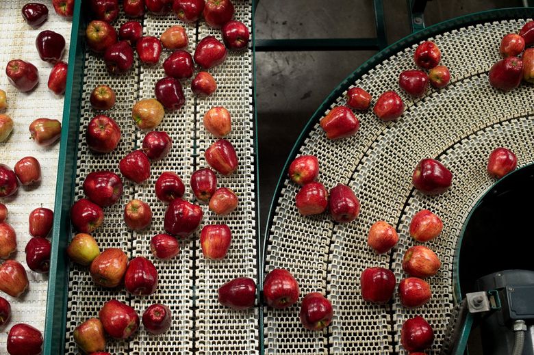 Red Delicious Apple - fruityland