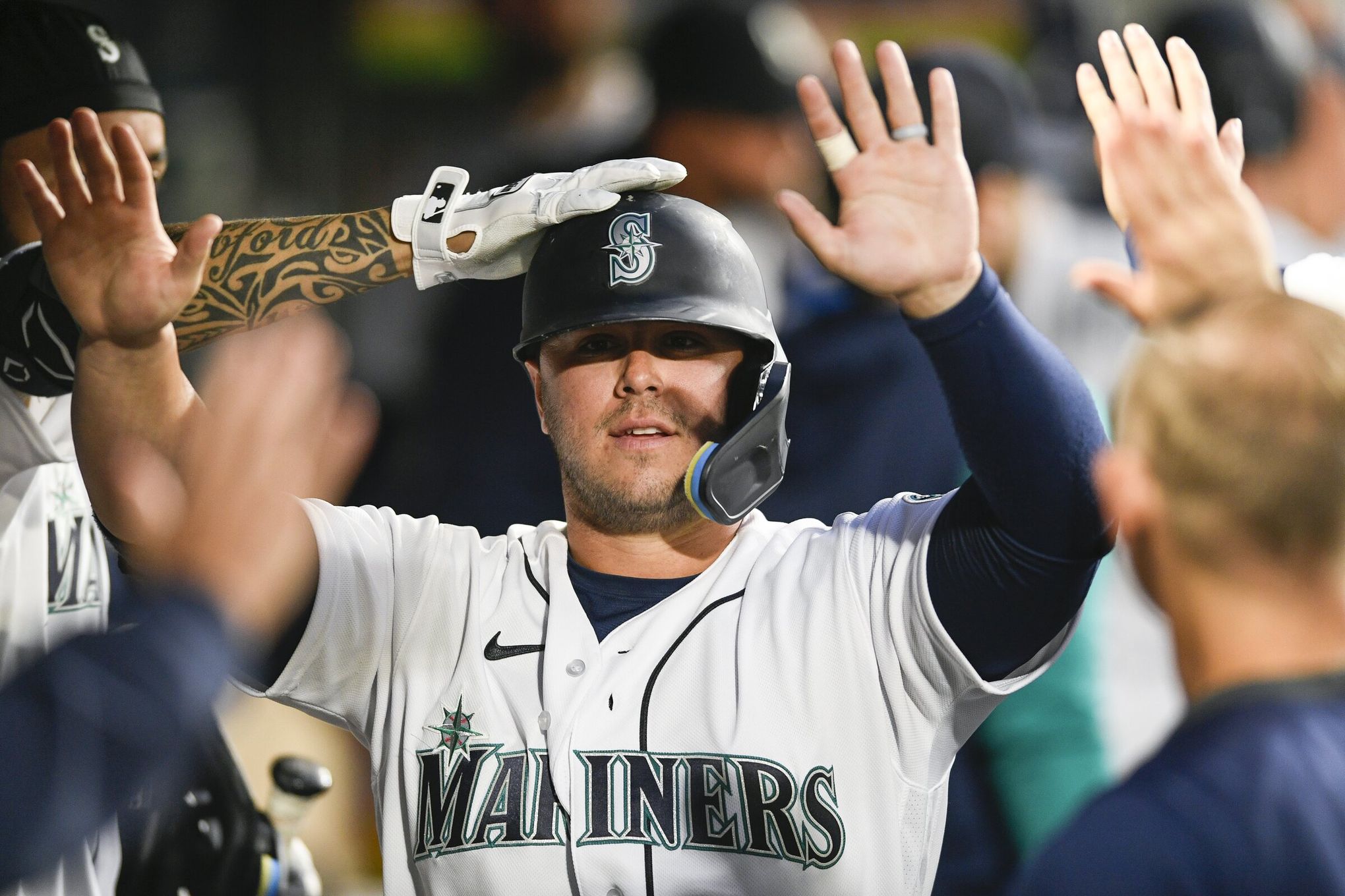 Many good dogs watched the Mariners get a walk-off win over the White Sox