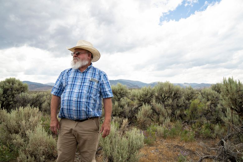 Agee Smith, a fourth-generation rancher in northeastern Nevada, at the Cottonwood Guest Ranch in Wells, Nev. on Aug. 3, 2022. Smith said welcoming beavers to work on his land was one of the best things he’s done. (Niki Chan Wylie/The New York Times)