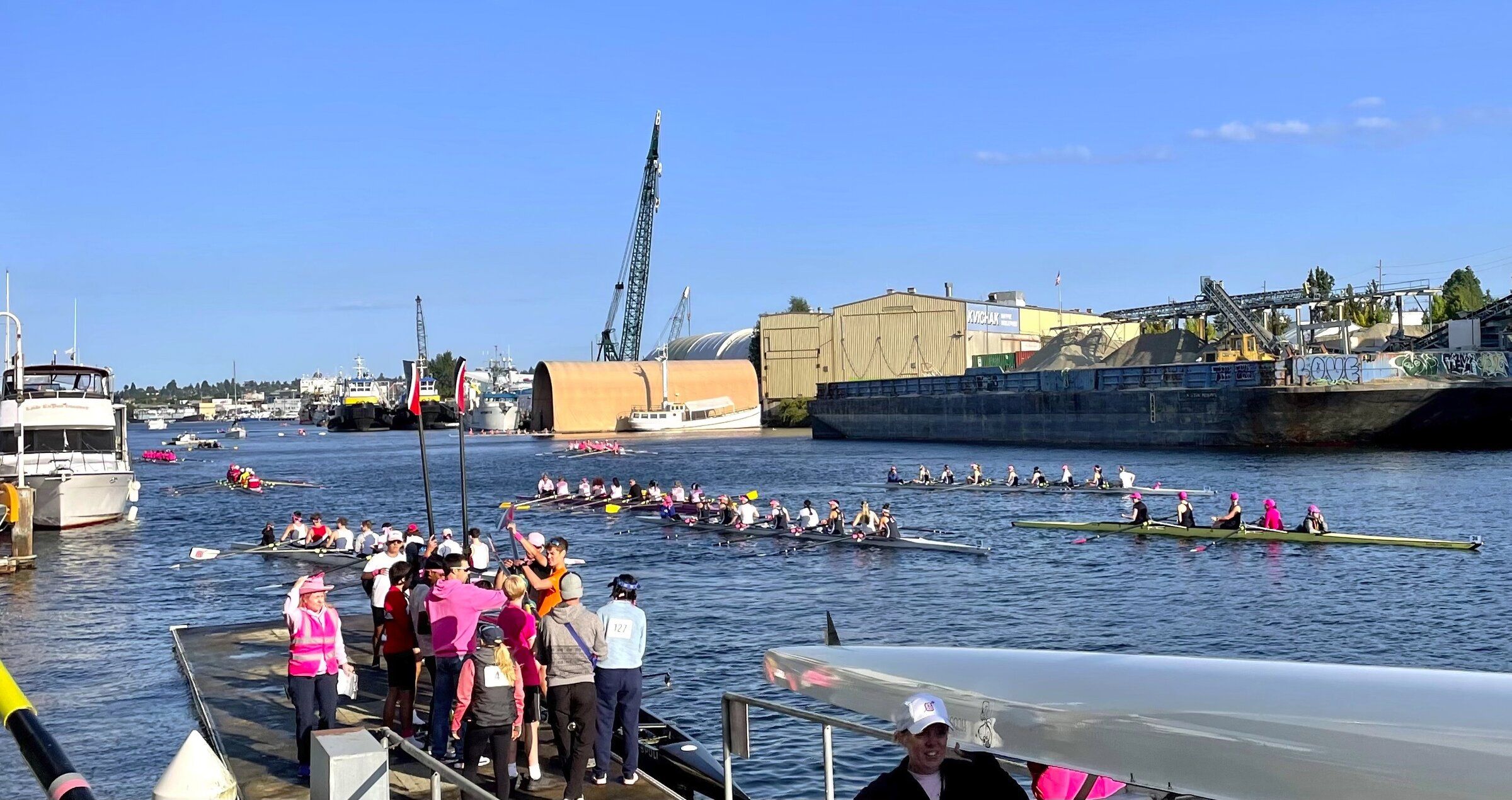 Seattle Row For The Cure brings power of the pink to Lake Union