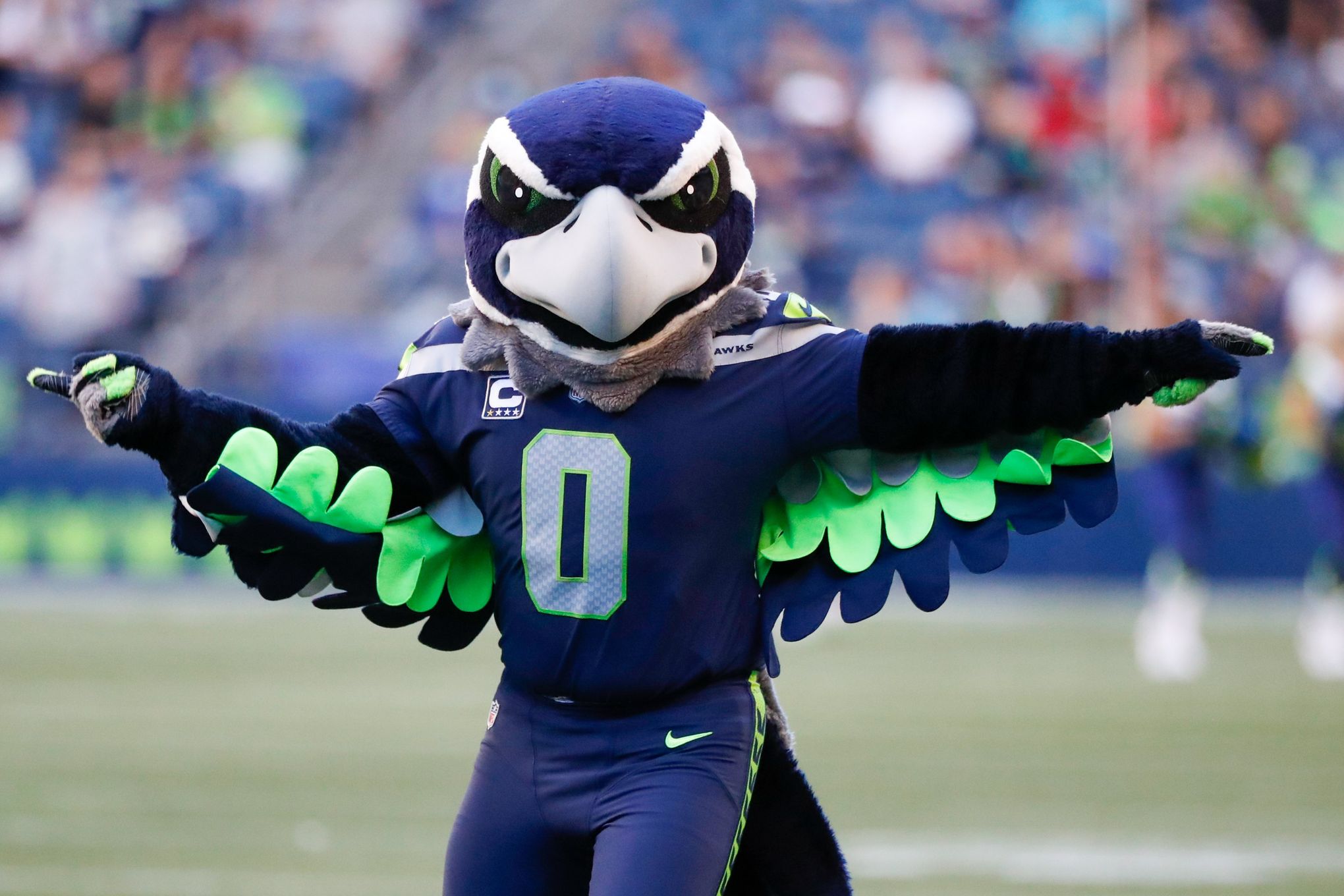 Eagles' Swoop Loses to Buffalo Mascot in List of Best NFL Mascots