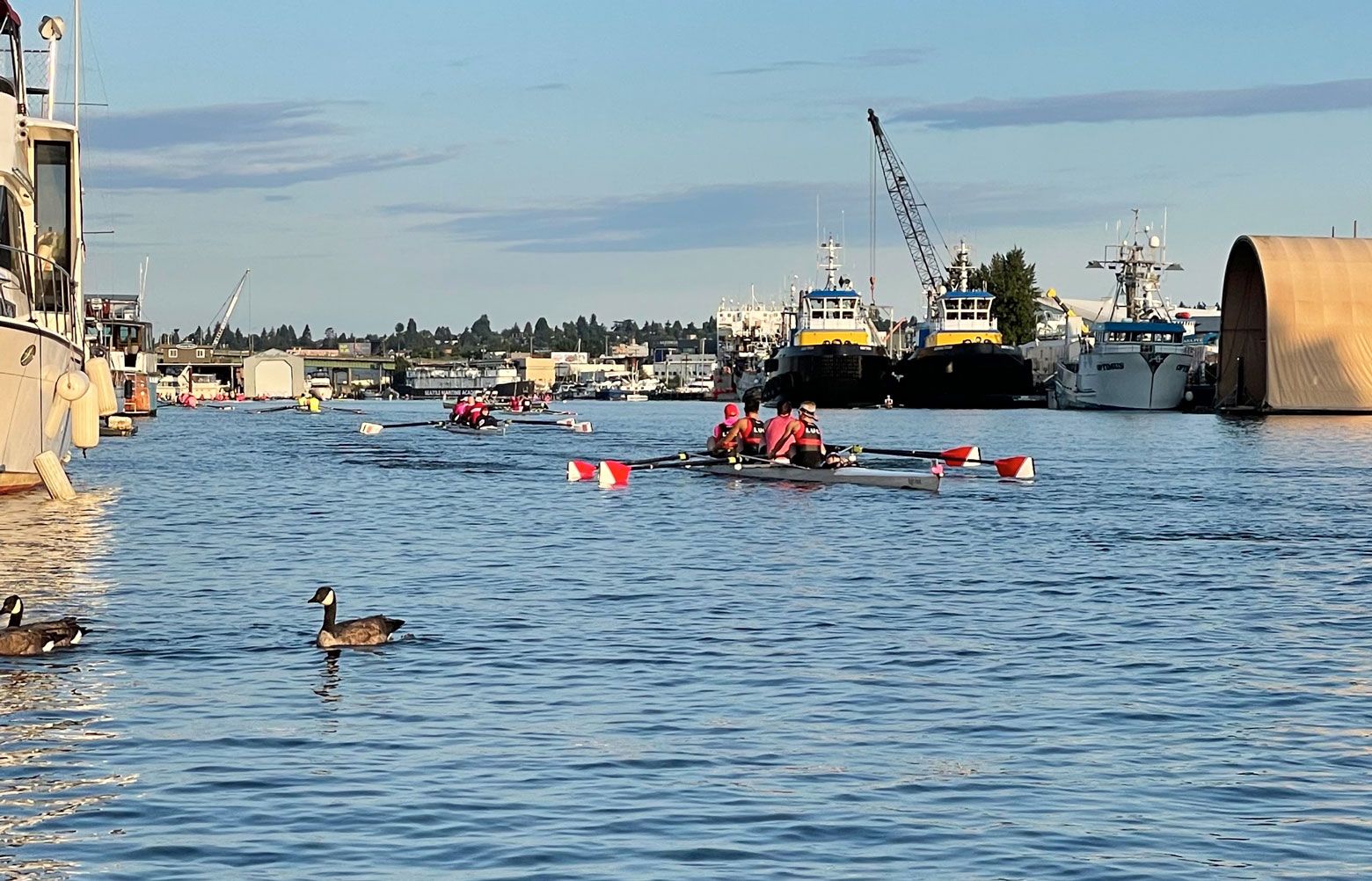 Seattle Row For The Cure brings power of the pink to Lake Union