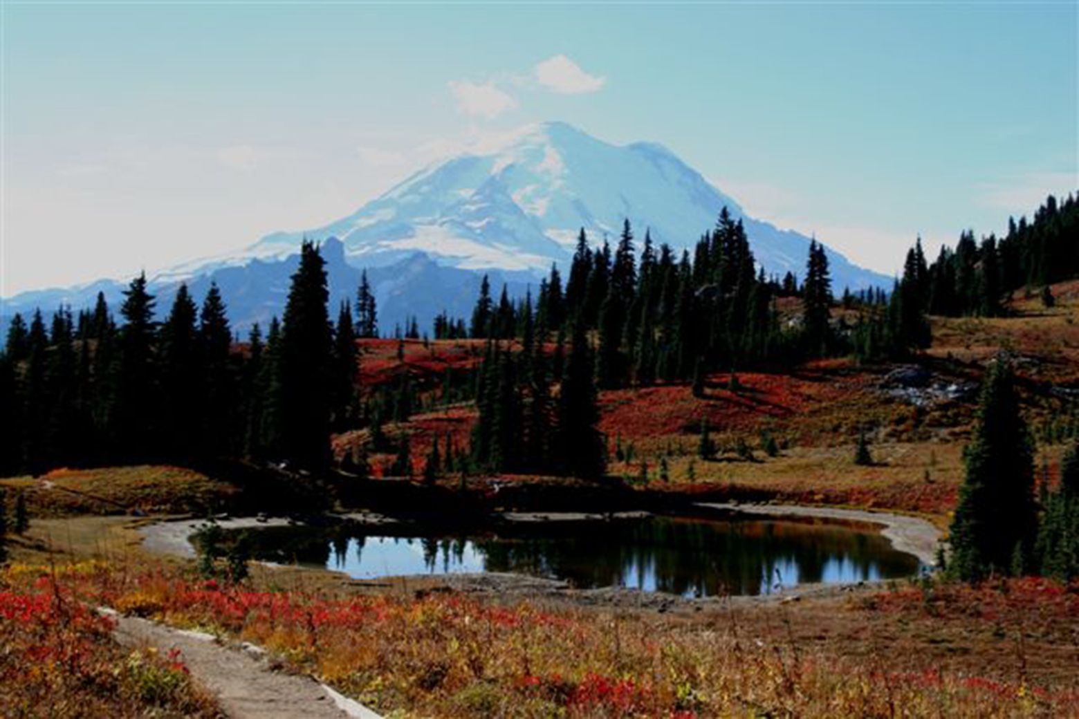 Mount Rainier National Park Hotels: Compare Hotels in Mount Rainier  National Park from $100/night on KAYAK