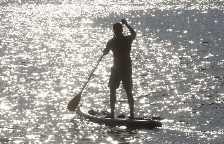 A backlit paddle boarder paddles west into the sun on Lake Union.
LO LO LO 221707