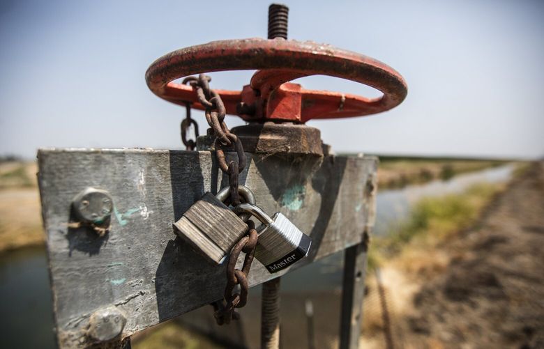 At a canal outlet gate in the Wapato Irrigation District, a BIA lock is circumvented by a second farmer’s lock allowing access to open the gate by the farmer at any time.