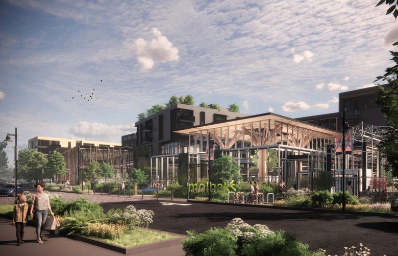 The new Molbak’s in downtown Woodinville will anchor a lively business and residential development. Credit: Graham Baba Architects