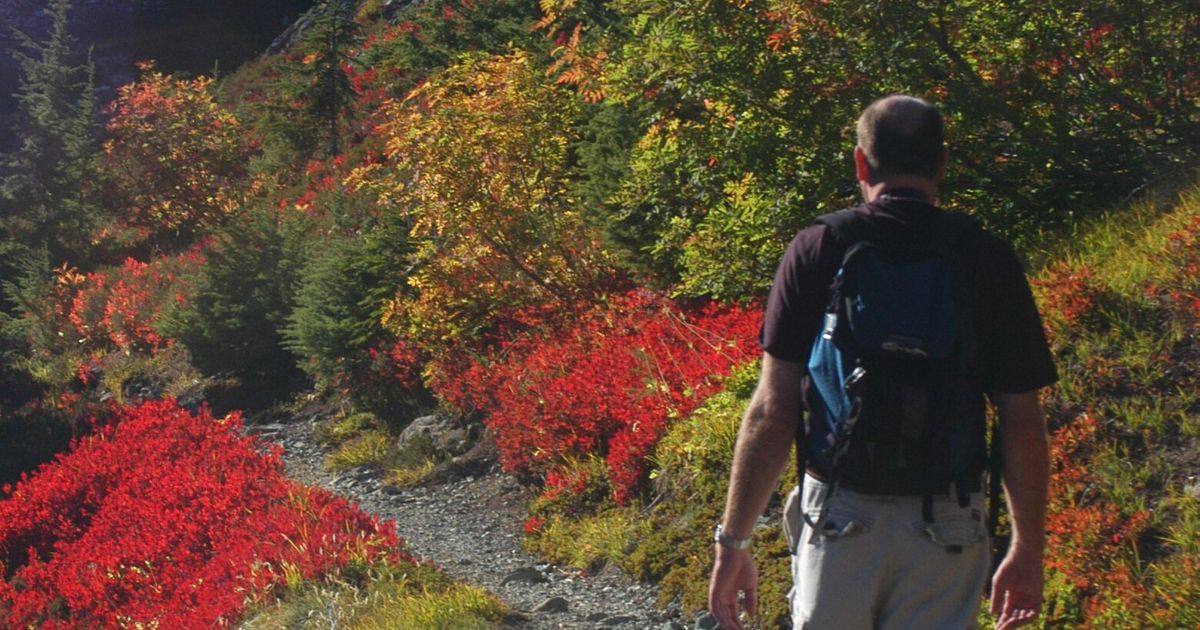 Goat Lake and 4 other late-summer hikes to tackle near Glacier