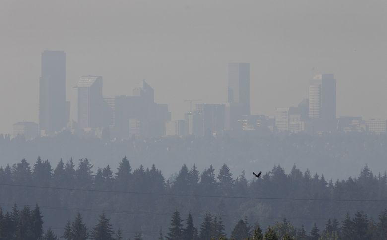 A bird flies Monday in front of the Seattle skyline, which is obscured with haze from the Bolt Creek Fire near Skykomish. The Columbia Center skyscraper can be seen at far left. More than 12,000 acres have been burned in the wildfire, which officials are now saying humans caused. (Ellen M. Banner / The Seattle Times)