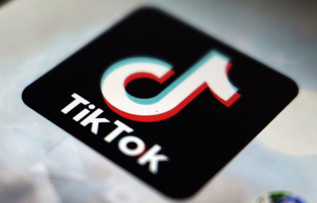 Banning TikTok could weaken personal cybersecurity