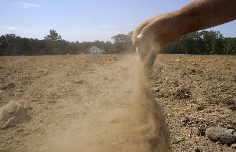 FILE – Hay farmer Milan Adams releases a handful of dry soil in a recently plowed field, in Exeter, R.I., Aug. 9, 2022. Widespread drought that dried up large parts of Europe, the United States and China this past summer was made 20 times more likely by climate change, according to a new study. (AP Photo/Steven Senne, File) CLI402 CLI402