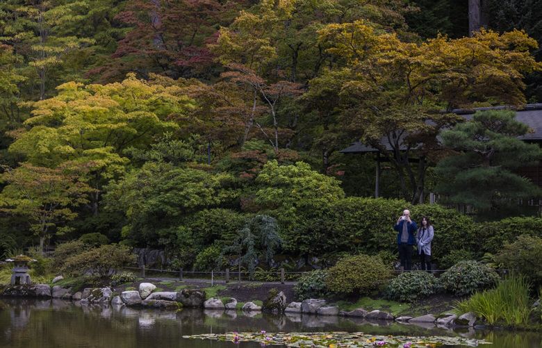 A couple take in the views at the Seattle Japanese Garden as the foliage starts to turn to autumnal colors on Tuesday, Sept. 28, 2021. LO 218372