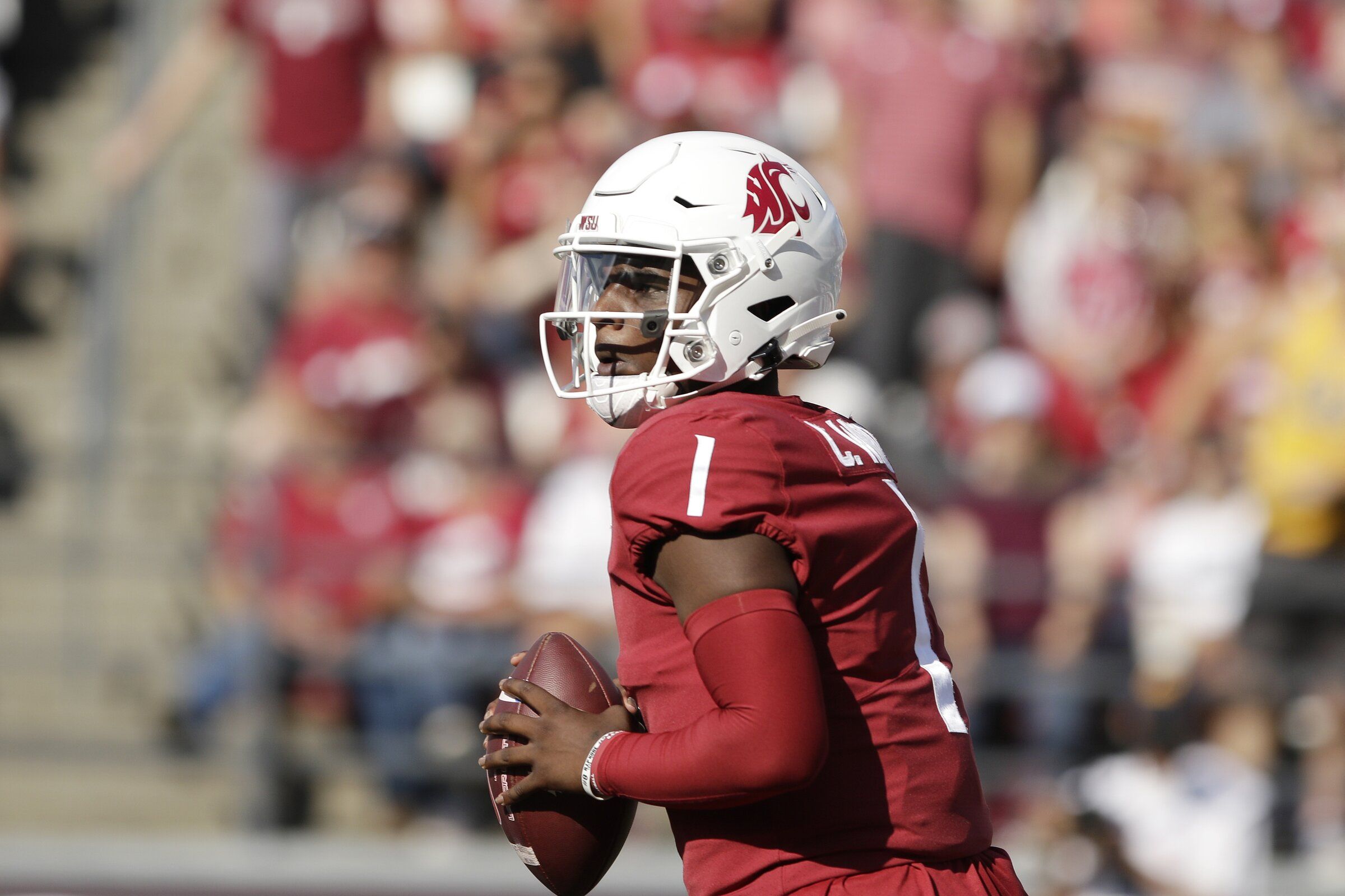 washington state football store