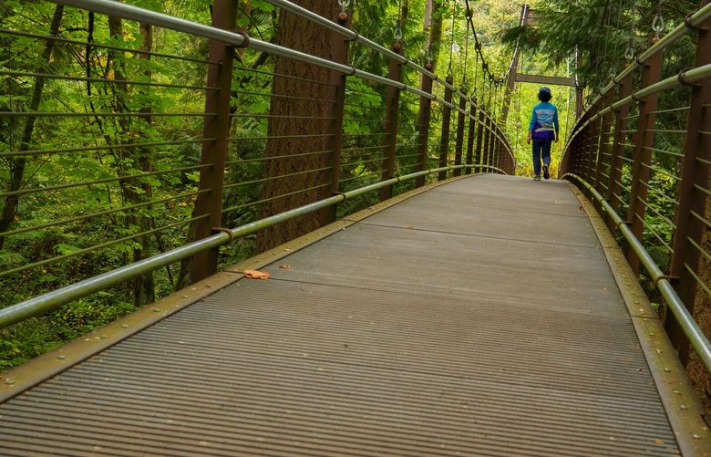 A woman walks over the suspension bridge, right off of the Lost Meadow Trail, at the Bellevue Botanical Garden, in Bellevue Saturday, October 3, 2020. The garden features cultivated gardens, natural wetlands and a woodland trail. It is open daily from dawn to dusk. There is no admission fee and the visitor center is open daily from 9 a.m. – 4 p.m. 215264