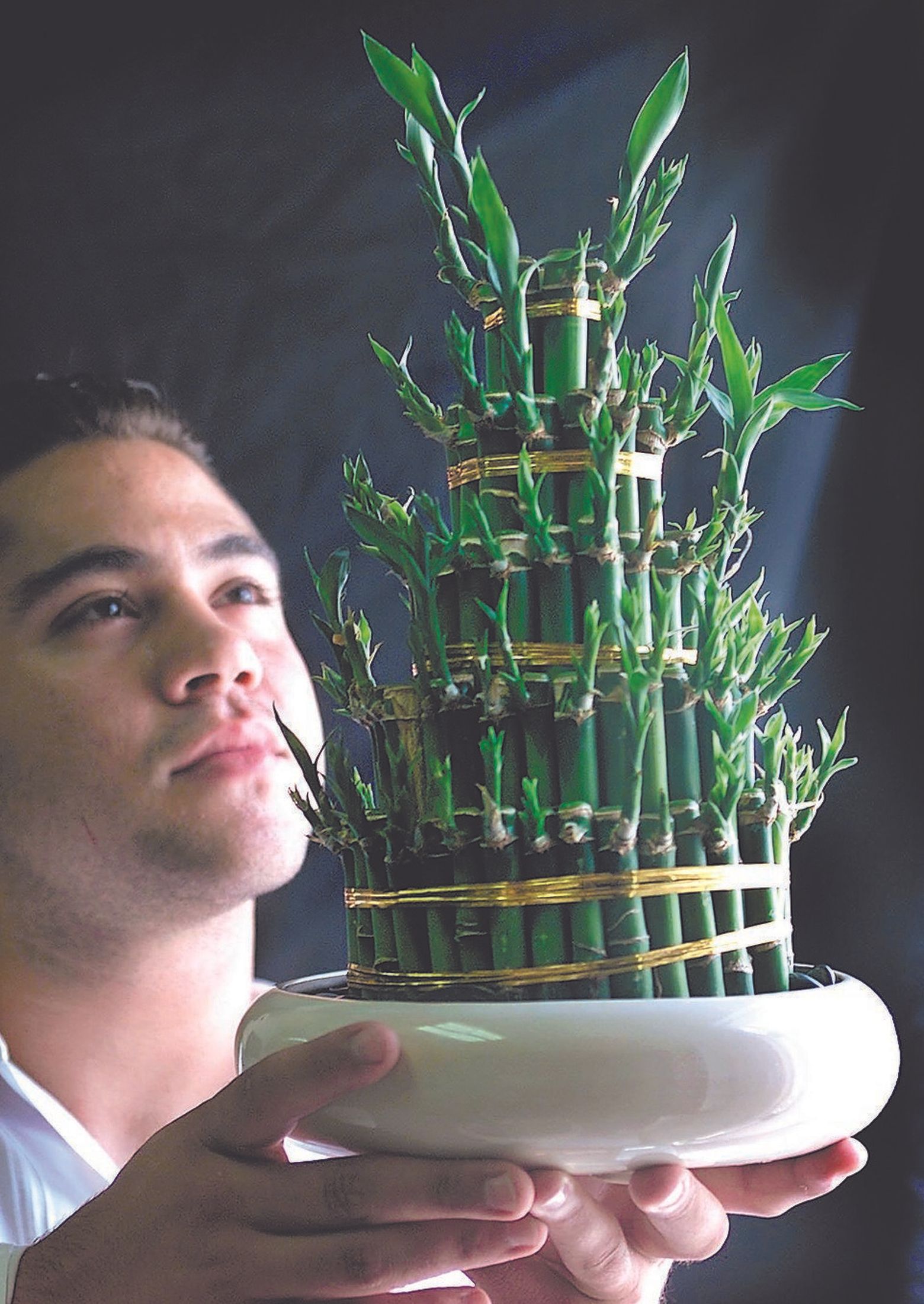 A lucky bamboo plant is a great gift for the new year (unless it dies) |  The Seattle Times