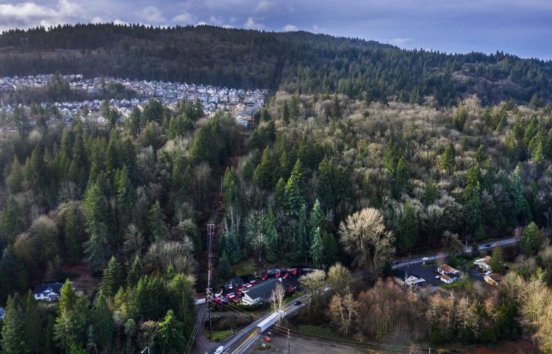 Friday, December 21, 2018. View looking west up Cougar Mountain where a 46-acre development stopped and the land slated to be purchased by the City of Issaquah. Newport Way at the bottom was one border for the 46 acres. 208817