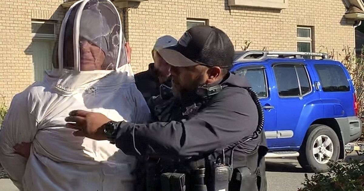 Woman charged with sending bee swarm on deputies at eviction | The ...