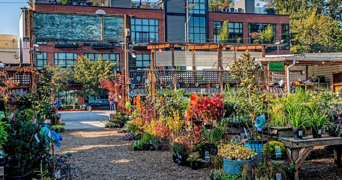 City People’s Garden Store in Madison Valley to be uprooted by