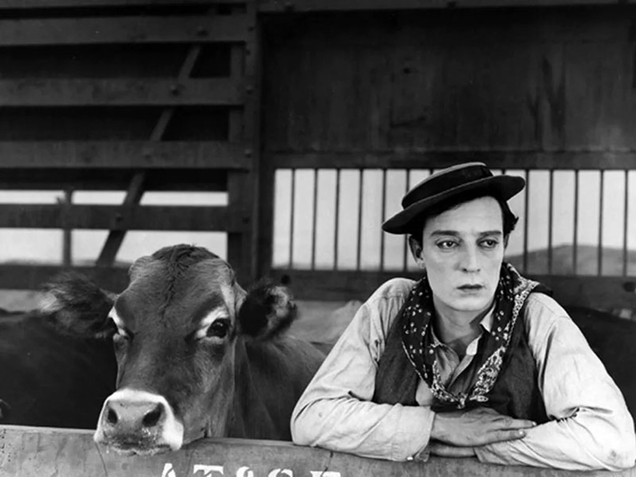 Four Looks at Buster Keaton: A Conversation With 'Camera Man' Author Dana  Stevens