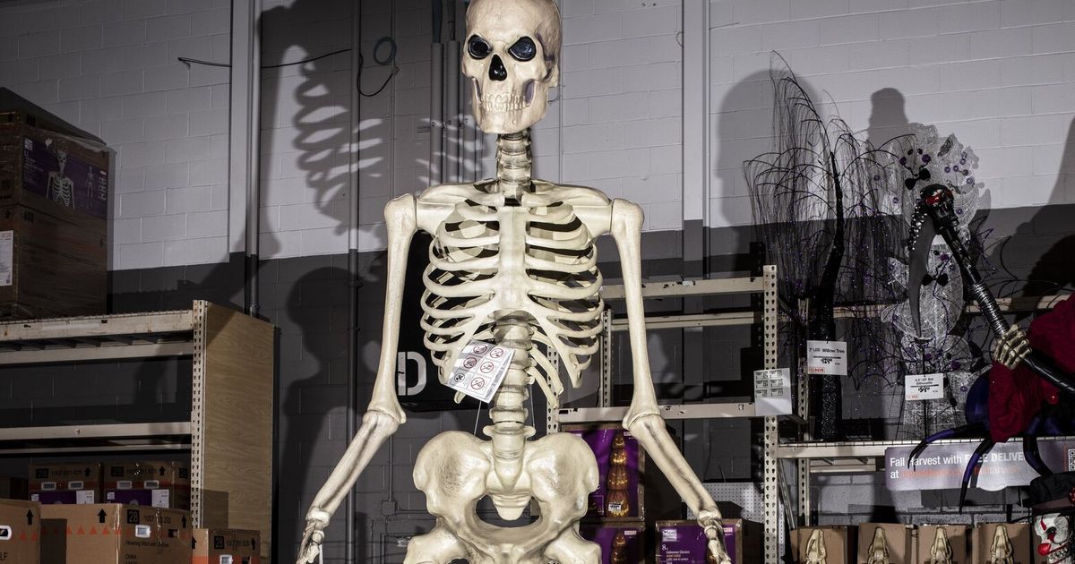 Still the Biggest Skeleton in the Game? | The Seattle Times