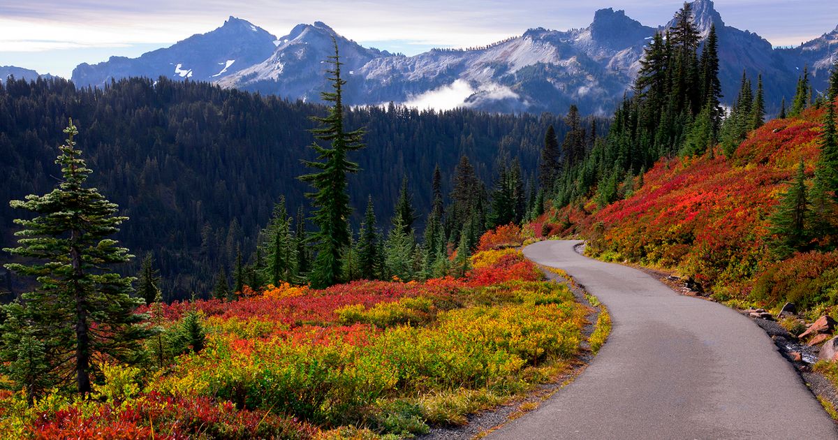 Aquí tienes una hoja de trucos para viajar en otoño, que incluye los vuelos más baratos y los principales destinos