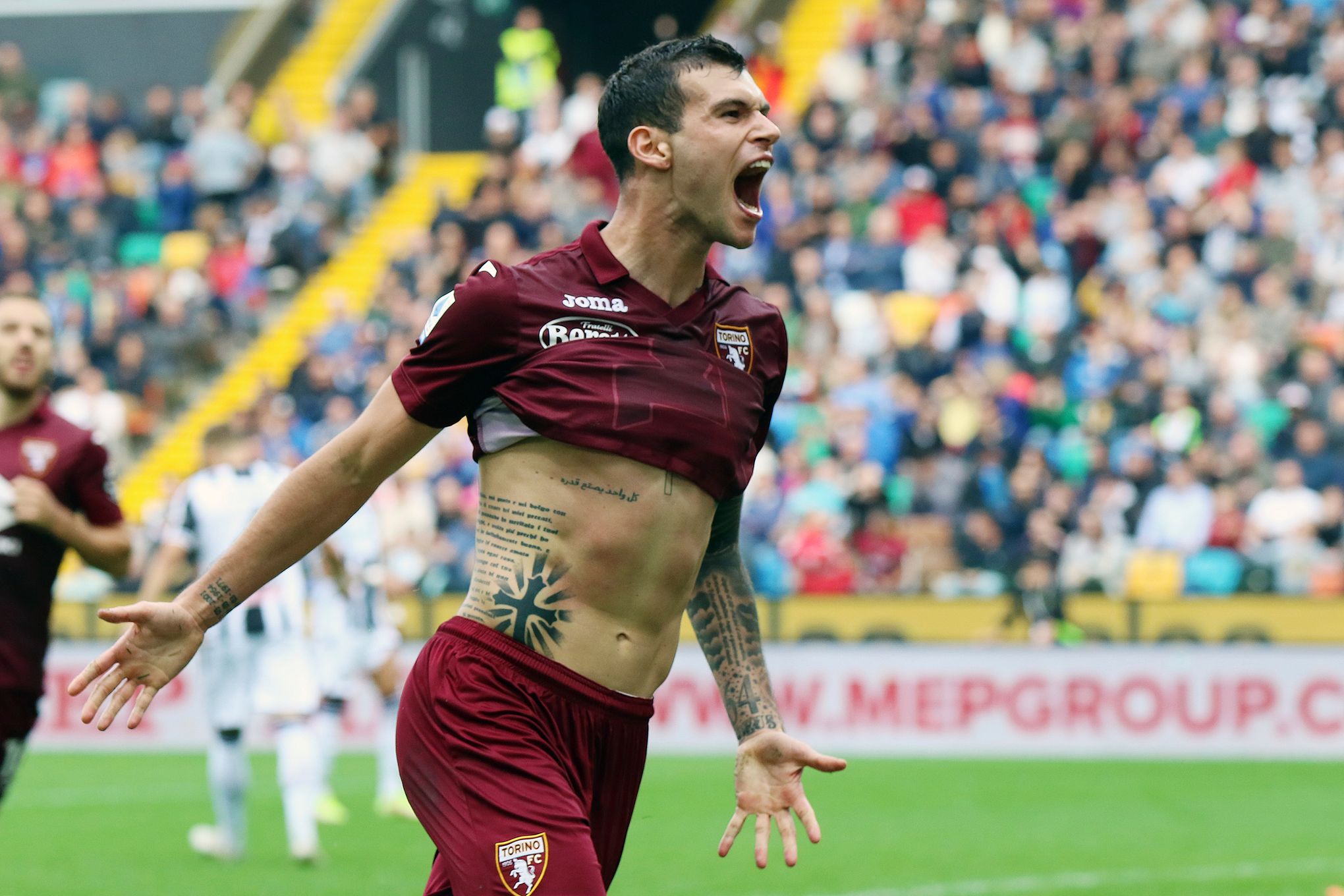 Udinese falls to surprise loss at home to Torino in Serie A
