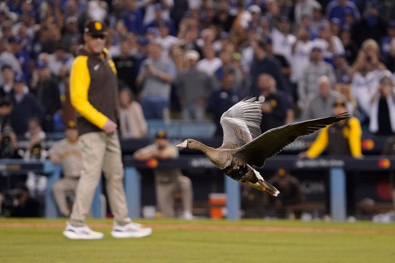 Padres to Open Division Series Against Dodgers Tuesday Night in Los Angeles  - Times of San Diego