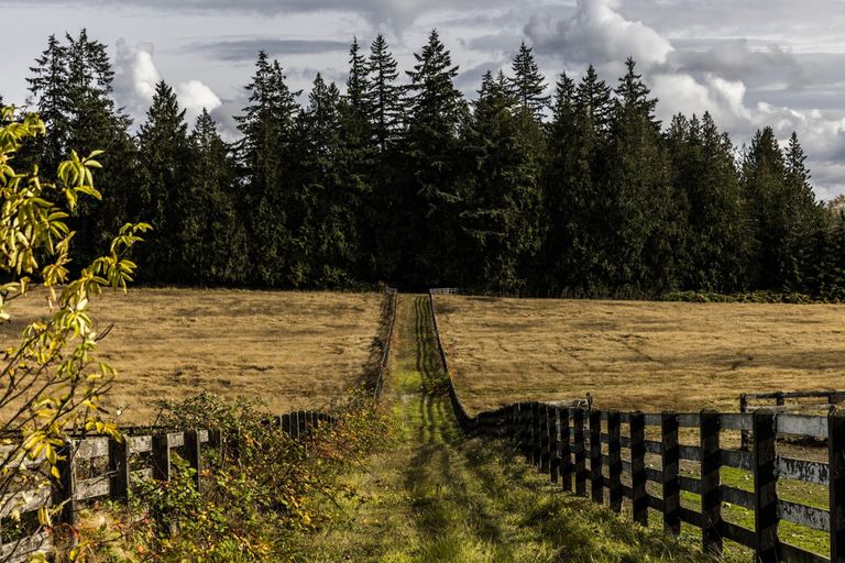 A fence divides property owned by the Tulalip Tribes north of Stanwood in Snohomish County