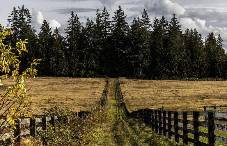 A fence segments property owned by by the Tulalip Tribes in Stanwood on Nov. 1, 2022. Near 300th Street Northwest is land proposed for a treatment facility.