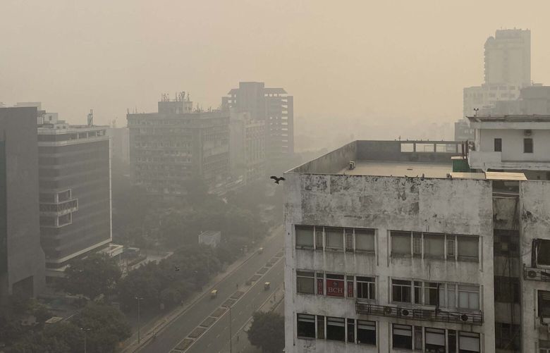 A bird flies with the horizon enveloped by smog and haze in New Delhi, India, Friday, Nov. 4, 2022.Indian authorities on Friday shut polluting industries and construction activity, restricted diesel-run vehicles and deployed water sprinklers and anti-smog guns to control haze and smog enveloping the skyline of the Indian capital region. (AP Photo/Shonal Ganguly) DEL103 DEL103