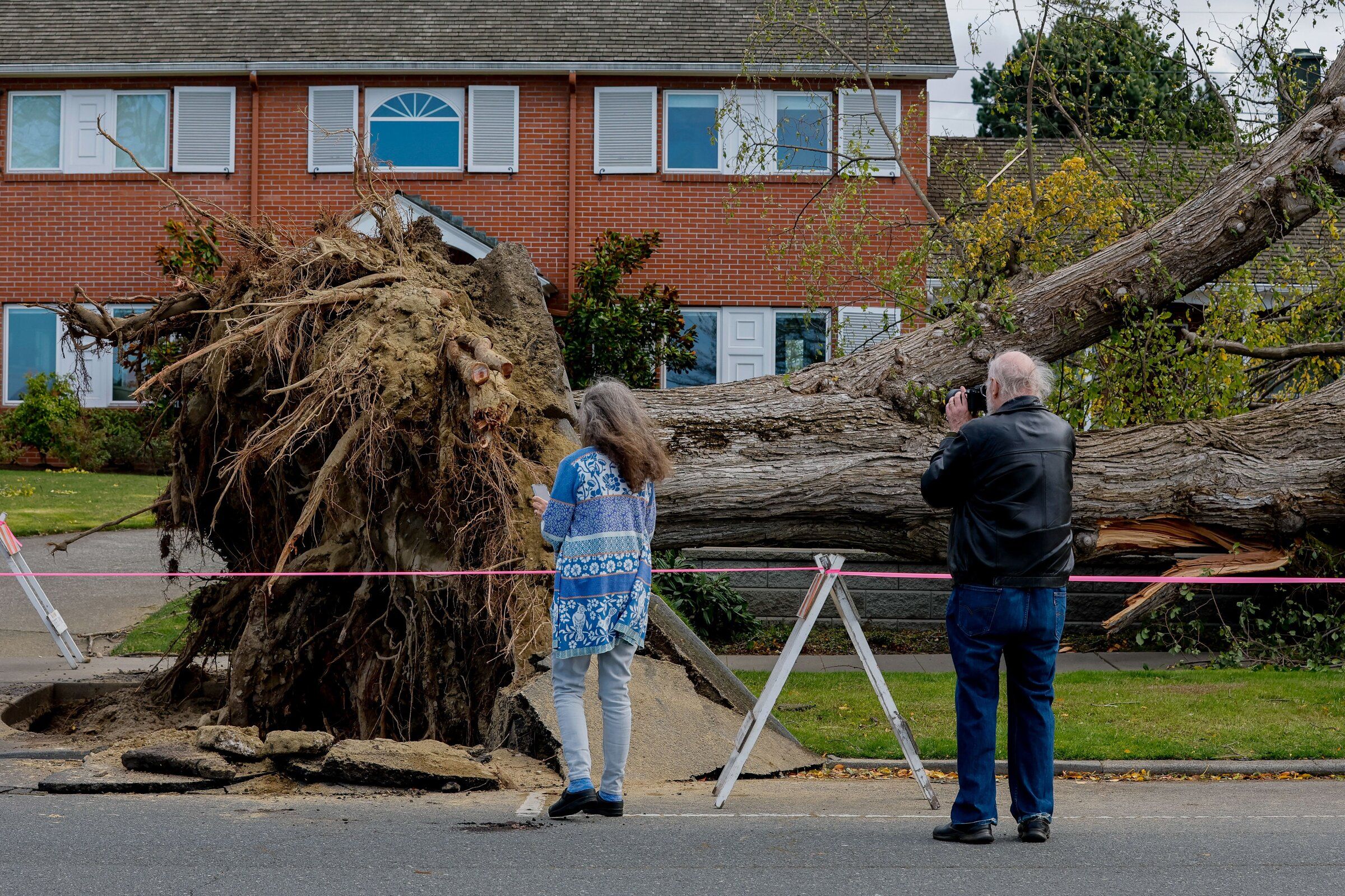 Wild winds knock out power to 300K in Western Washington